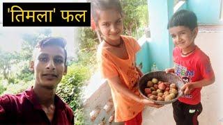 तिमला Timla | गूलर gular | अंजीर anjeer fruit | elephant fig | uttarakhand village vlog