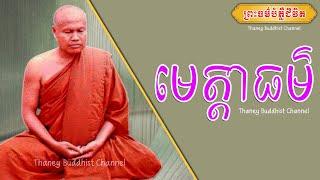 មេត្តាធម៌ |ព្រះធម្មវិបស្សនា សំ ប៊ុនធឿន កេតុធម្មោ | Thaney Buddhist Channel