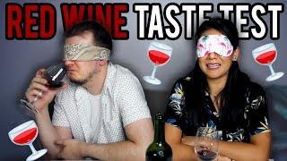 EXPENSIVE WINE vs CHEAP WINE (red edition)! - BLIND TASTE TEST  | #STIKKISHOW