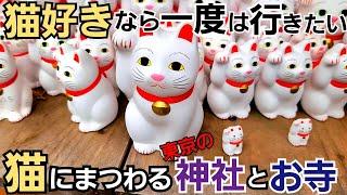 猫にまつわる東京の神社とお寺を巡る！【猫好き】