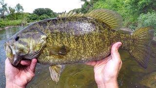 Wade Fishing River Smallies