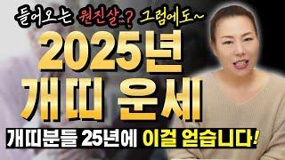 2025년 을사년 개띠운세 들어오는 원진살..? 그럼에도 이걸 얻습니다~! [인천용한점집 청화신당]