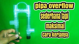 cara mudah membuat pipa overflow kolam koi saat hujan tiba | diy overflow