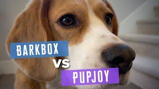 Cute beagle reviews different types of treats: BarkBox vs PupJoy