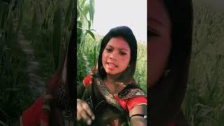 https://youtube.com/shorts/xUe7Ca96eG8?si=QUHgsxg7UltCZBKf