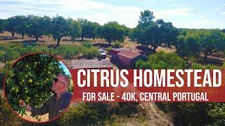 CITRUS HOMESTEAD, 40K EUROS - CENTRAL PORTUGAL FARM REAL ESTATE INVESTMENT