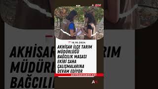 Akhisar İlçe Tarım Müdürlüğü Bağcılık Masası Ekibi Saha Çalışmalarına Devam Ediyor