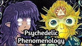 Exploring Psychedelic Phenomenology: A Conversation with Andrés Gómez Emilsson & Josie Kins