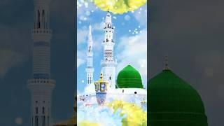 agar taiba ko jaaoge to aana bhul jaaoge#short Islamic #video   @taufeek 08