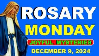 Holy Rosary For Today | Joyful Mysteries 12/9/2024 | Catholic Rosary Prayer —Holy Rosary 247