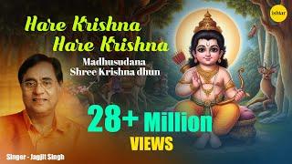 Ram Navmi Special | Hare Ram Hare Krishna | Jagjit Singh |  Keshwa Madhwa | Shri Krishna - Ram Dhun