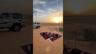 "Why do sheikhs hold gatherings in the desert? #shortvideo