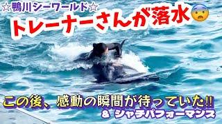 トレーナーさんが落水リカバリーの成功につなげた決め手とは・・・‼︎ ＆シャチパフォーマンス