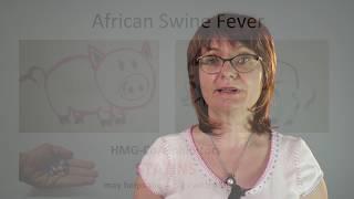 Prof. Ancha Baranova, Prenylation of viral proteins by enzymes of the host: