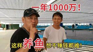 加州鲈鱼养殖 |  高密度养鱼，4人管理，1年纯利润1000万！你信吗？