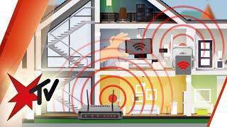 Nie wieder Internet-Probleme: So holt jeder das Maximum aus dem heimischen WLAN | stern TV