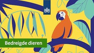 CITES | Zo werkt de overheid aan CITES