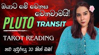 ඔබගේ ඊලග වසර 20 මොන වගේද?  අනිවාර්යයෙන් බලන්න ️️ PLUTO TRANSIT TAROT CARD READING SINHALA