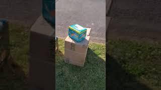 (Reupload) Andrew Ditch: Curb alert! Free diapers! (No Crinklz)