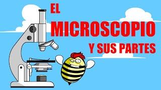 El MICROSCOPIO  SUS PARTES Y FUNCIONES 