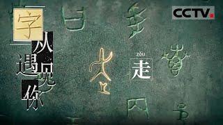 《“字”从遇见你》这个正在跑着的小人就是古代的“走”字！【CCTV纪录】