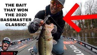 The BAIT that WON the 2020 BASSMASTER CLASSIC!