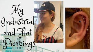 My Industrial And Flat Piercings | Full Version | Brielle WhatElse