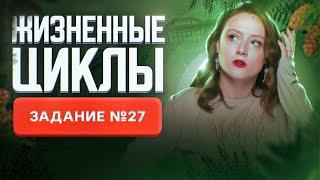 Жизненные циклы | Задание №27 | Подсчёт хромосом | ЕГЭ-2025 по биологии