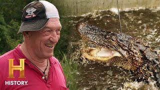 Swamp People: TROY TAGS OUT WITH A MASSIVE GATOR (Season 13)