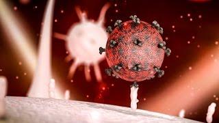 A potential cure for HIV