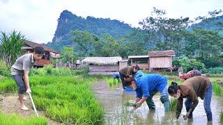 FULL VIDEO: Remembering the days when KONG, NHAT & BINH lived happily together in the fields