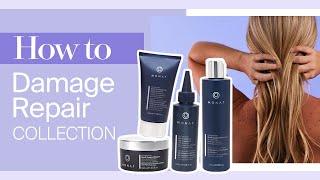 MONAT How to | MONAT Damage Repair Collection | Haircare