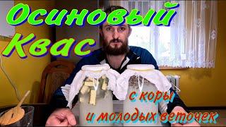 Квас с Осиновой Коры и Осиновых Веточек! Как делать! Что лечит!