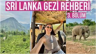 SRİ LANKA GEZİ REHBERİ 3. BÖLÜM I Safari'de Leopar Gördük I Ella I Organic Tea Garden I Ravana Falls