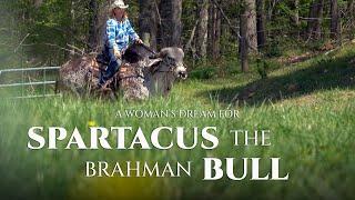 Neck Reining a Brahman Bull | A Woman's Dream for SPARTACUS The Brahman Bull