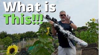 What On Earth Have I Got Here! Allotment Gardening With Tony