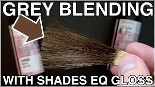 Ep 4 - Blending GREY HAIR with Shades EQ Gloss. FULL of HUGE tips!