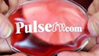 PulseTV Reusable Hand Warmers