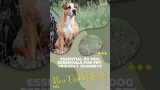 Essential RV Dog Essentials for Pet-Friendly Journeys!