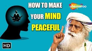 How to Make Your Mind Peaceful | Sadhguru | Shemaroo Spiritual Life