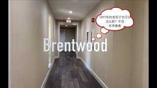 Jacob 带你看休斯顿公寓/休斯顿租房/医学中心租房/Brentwood小区 Houston apartment