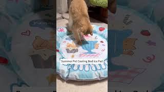 HOT Weather?  This Cooling Pet Bed is a Total Game-Changer! 