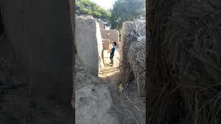 life of village