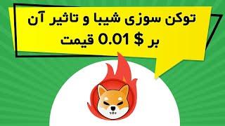 توکن سوزی شیبا و تاثیر آن بر $ 0.01 قیمت