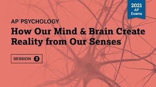 2021 Live Review 3 | AP Psychology | How Our Mind & Brain Create Reality from Our Senses