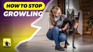 How to Stop your Dog from Growling at Family Members | EveryDoggy