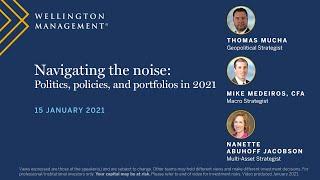 Navigating the noise: Politics, policies, and portfolios in 2021