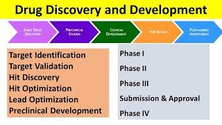 Drug Discovery and Development | Detailed Explanation of Preclinical and Clinical Steps |