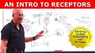 An Intro to Receptors | Types, Structure & Location | Part 1