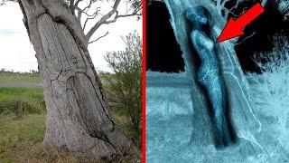 Top 5 Mysteries That Baffle the World | Unexplained Phenomena